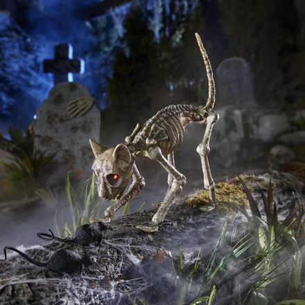 ANIMATED LED Decayed Skeleton Cat