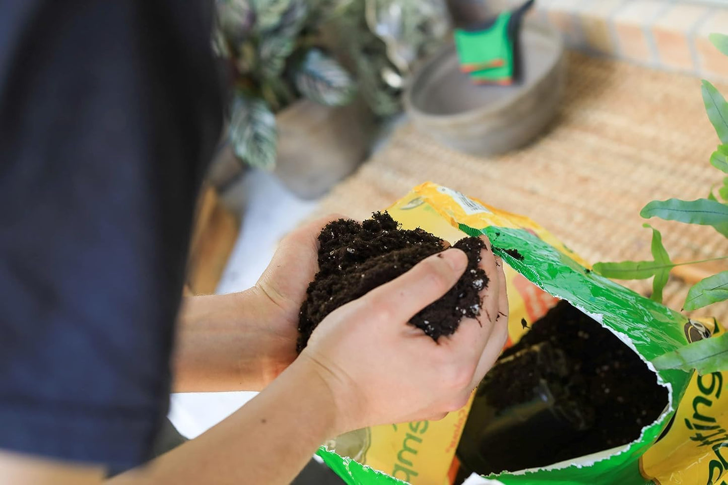 Miracle-Gro All Purpose Potting Soil Mix