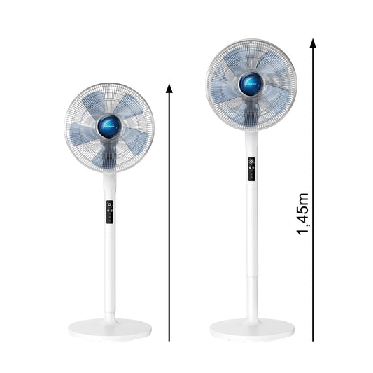 Rowenta Turbo Silence Extreme and Stand Fan