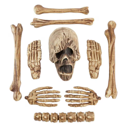 10 Piece Bag of Bones