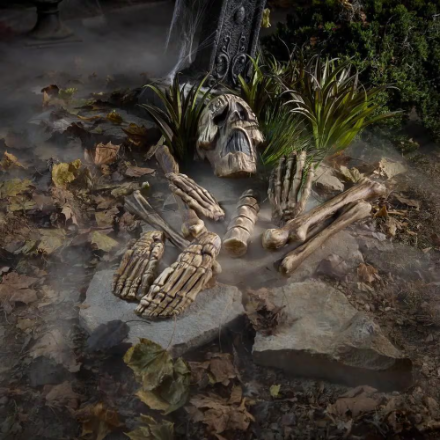 10 Piece Bag of Bones