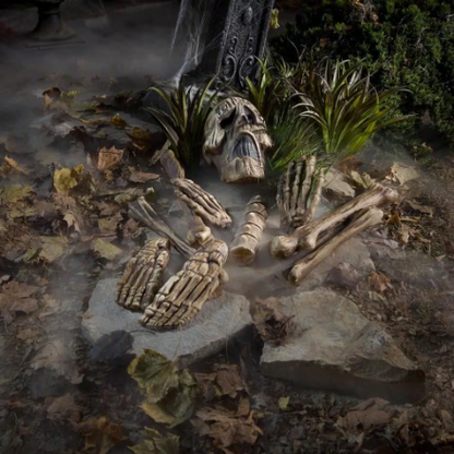 10 Piece Bag of Bones