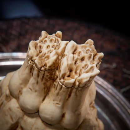 ANIMATED Crawling Skeleton Hand