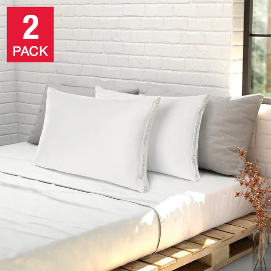 Calvin Klein 2-Pack Pillows
