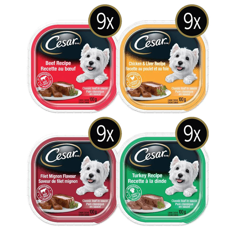 Nourriture humide pour chien César Classic Loaf en sauce, pack varié - 36 barquettes de 100 g 