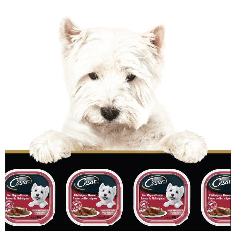 Nourriture humide pour chien César Classic Loaf en sauce, pack varié - 36 barquettes de 100 g 