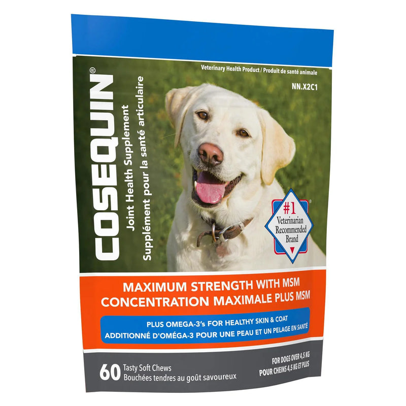 Cosequin Maximum Strength avec MSM et oméga-3, complément alimentaire pour la santé des articulations des chiens 