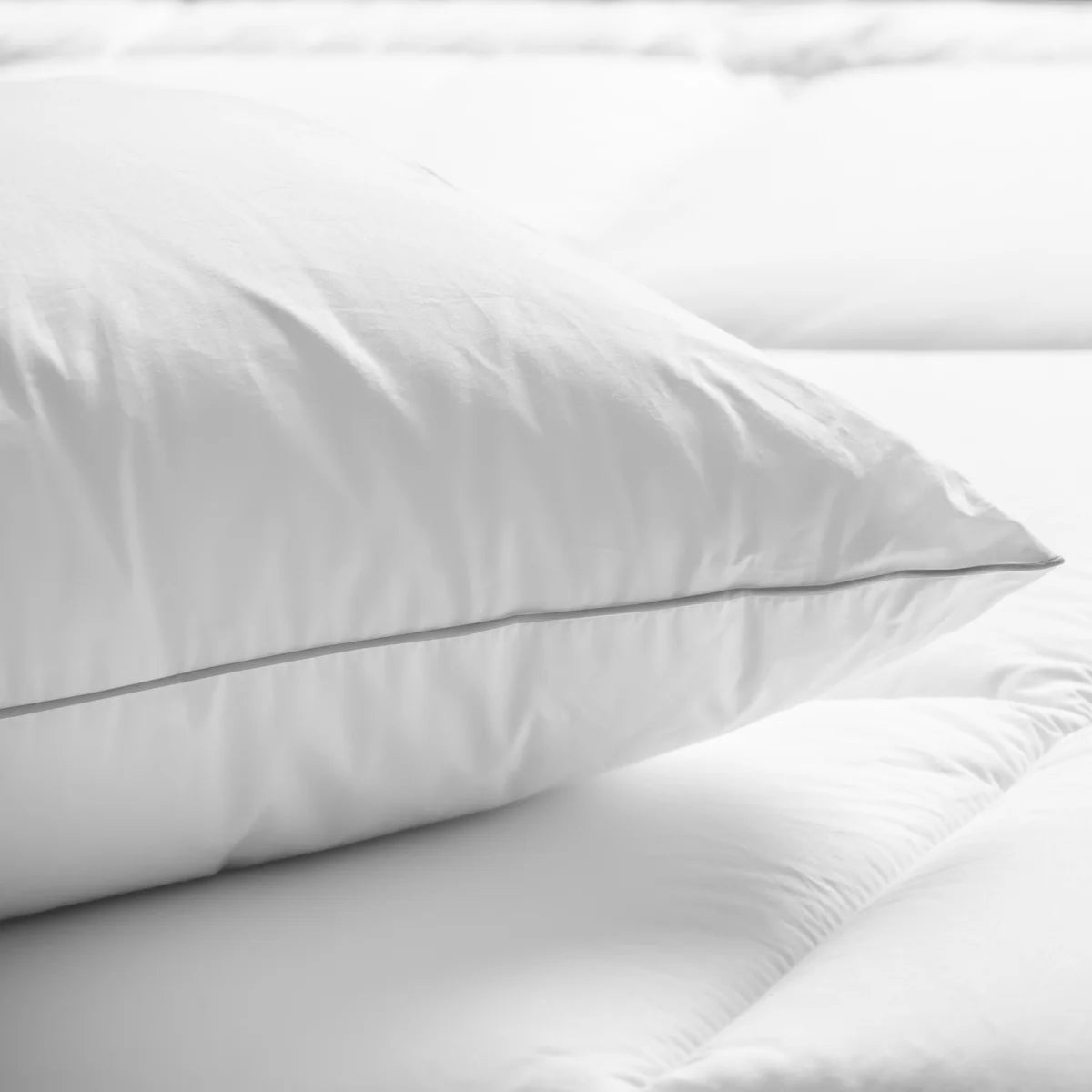 Cotton House 2-Pack Pillows