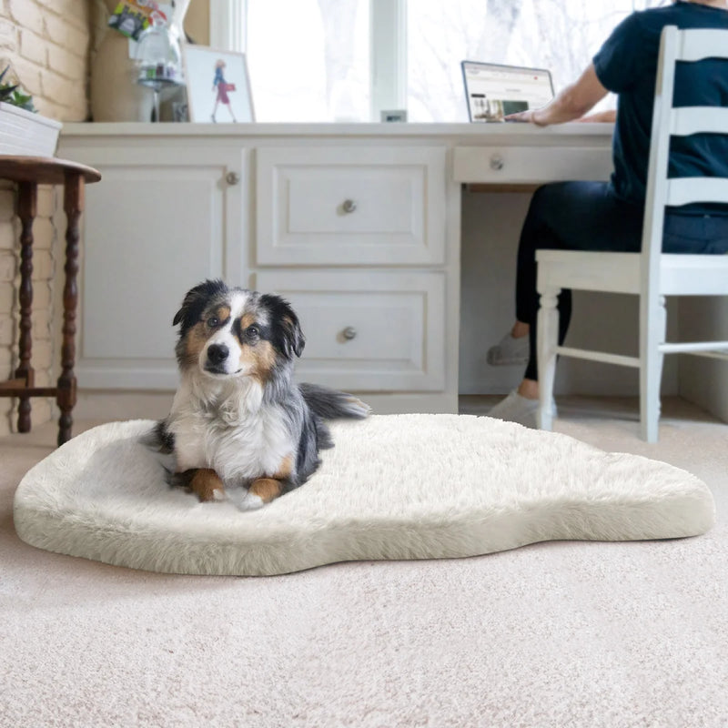 Couture Pet Bed with Faux Fur Top