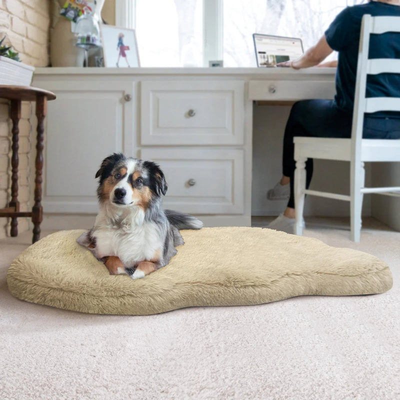 Couture Pet Bed with Faux Fur Top