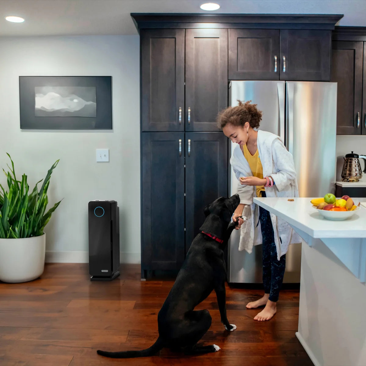 GermGuardian 56 cm (22 in.) Elite 3-in-1 Pet Pure Air Cleaning System with BONUS True HEPA Replacement Filter