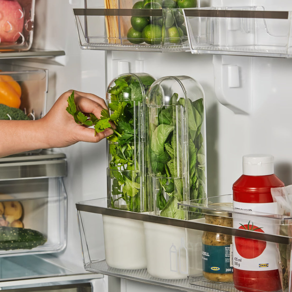 IKEA KLIPPKAKTUS Herb storage for fridge, transparent, 10x9x28 cm (3 3/4x3 5/8x11 ")