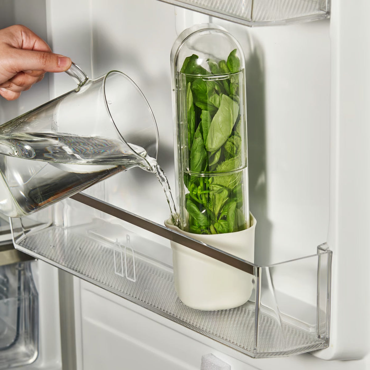 IKEA KLIPPKAKTUS Herb storage for fridge, transparent, 10x9x28 cm (3 3/4x3 5/8x11 ")