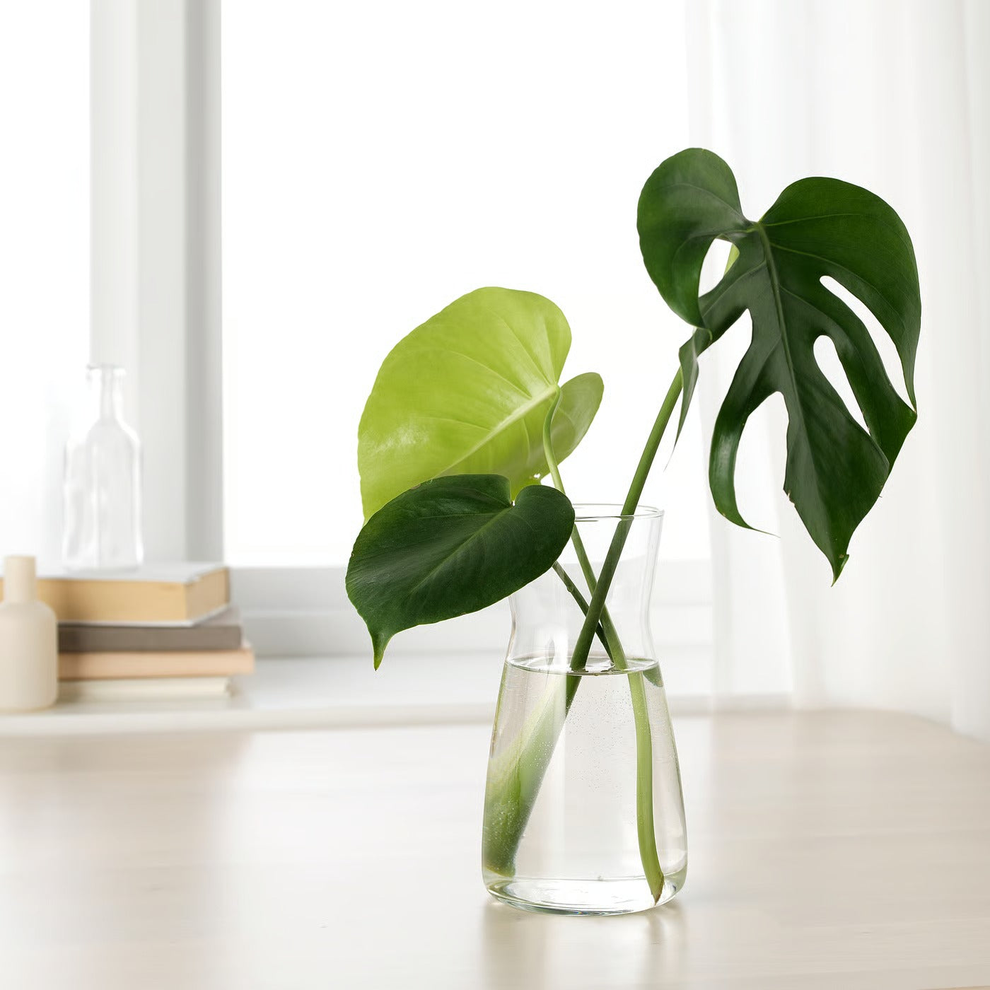 (2 PACK) IKEA 1L Clear Glass Carafe – Beverage Pitcher & Decorative Vase, 34 oz
