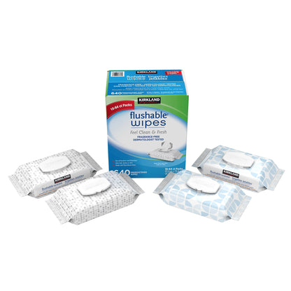 Kirkland Signature Flushable Wipes – 640 Count | Gentle, Strong & Hygienic Everyday Cleaning Wipes