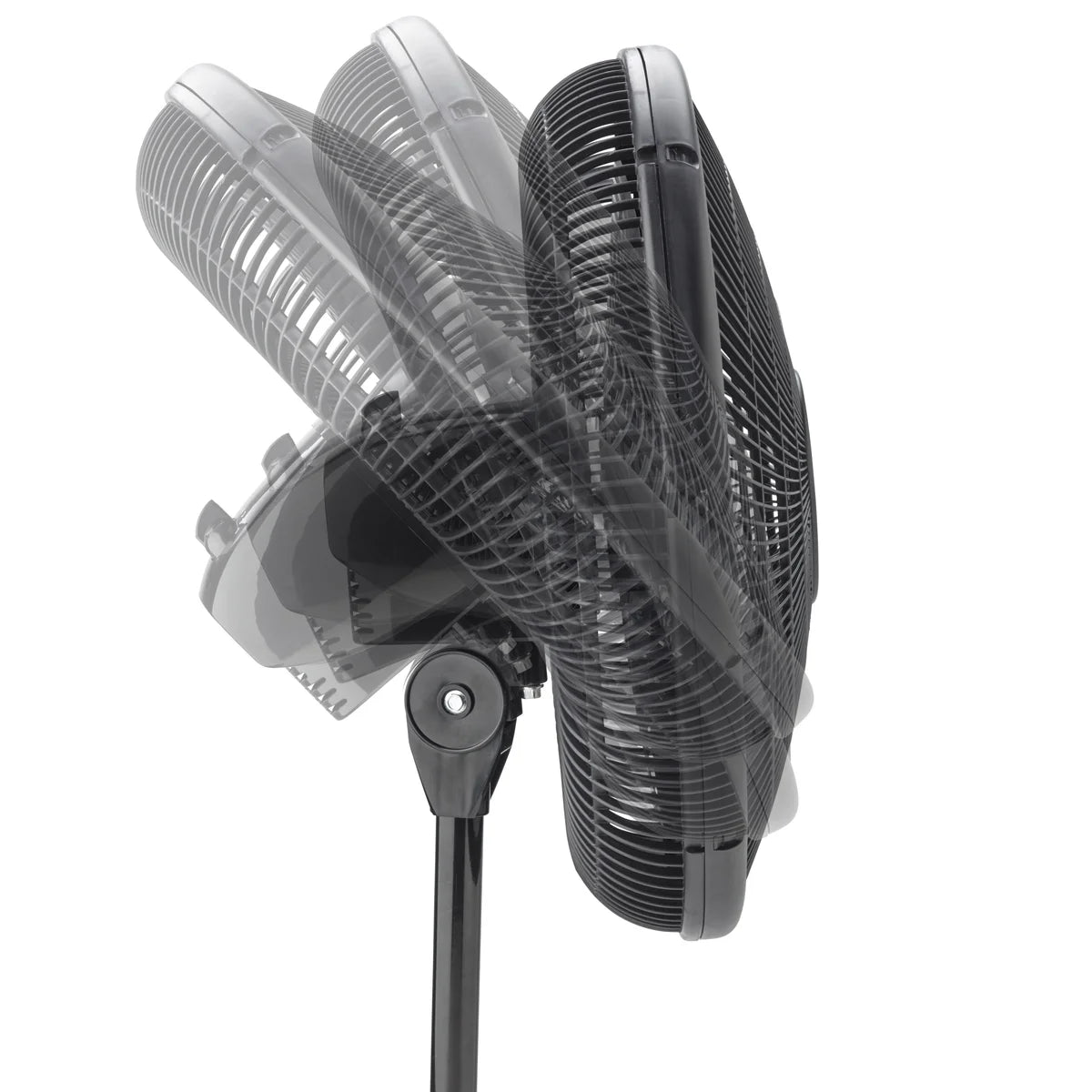Lasko Oscillating Stand Fan 40.6 cm (16 in.), 2-pack