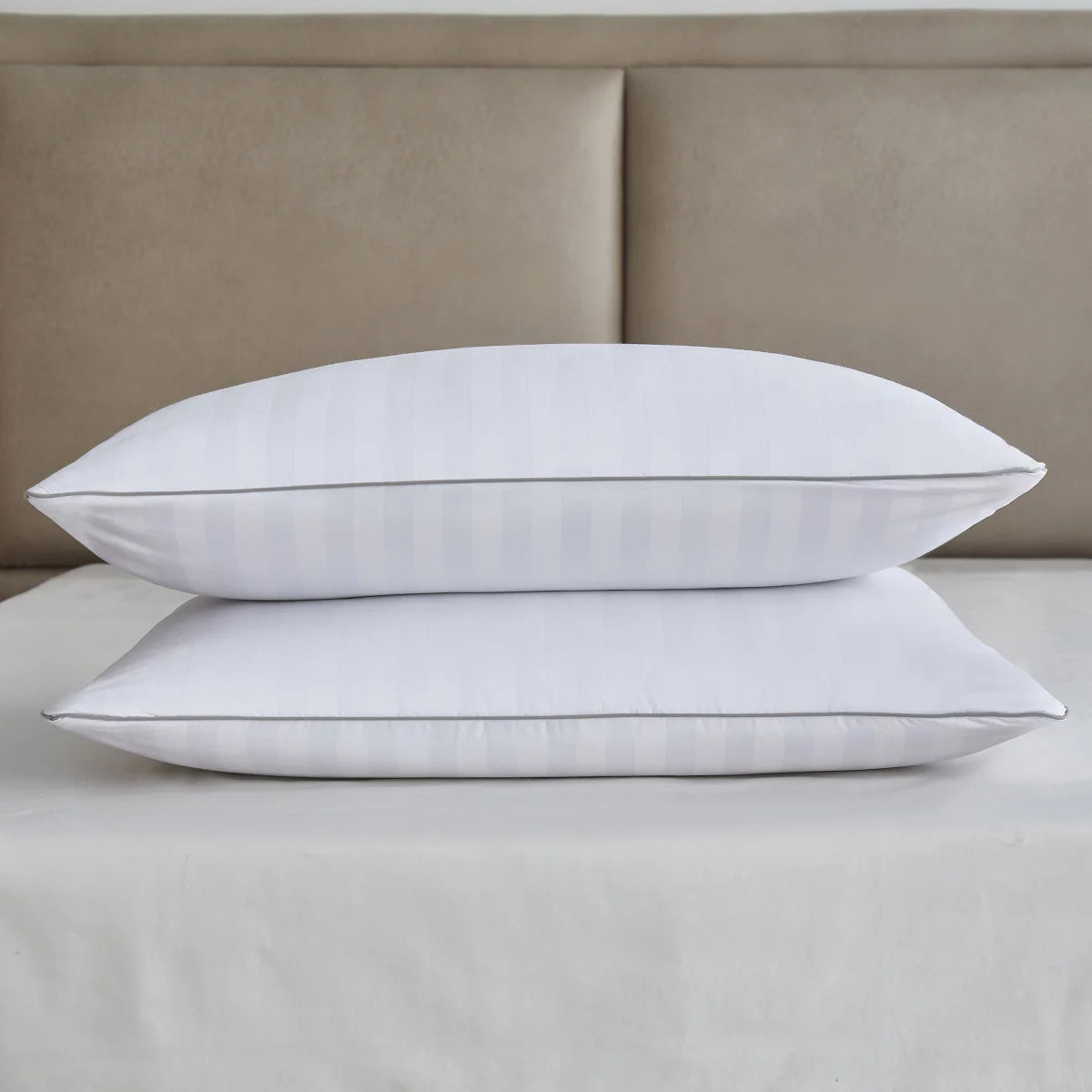 Martha Stewart 2-Pack Pillows