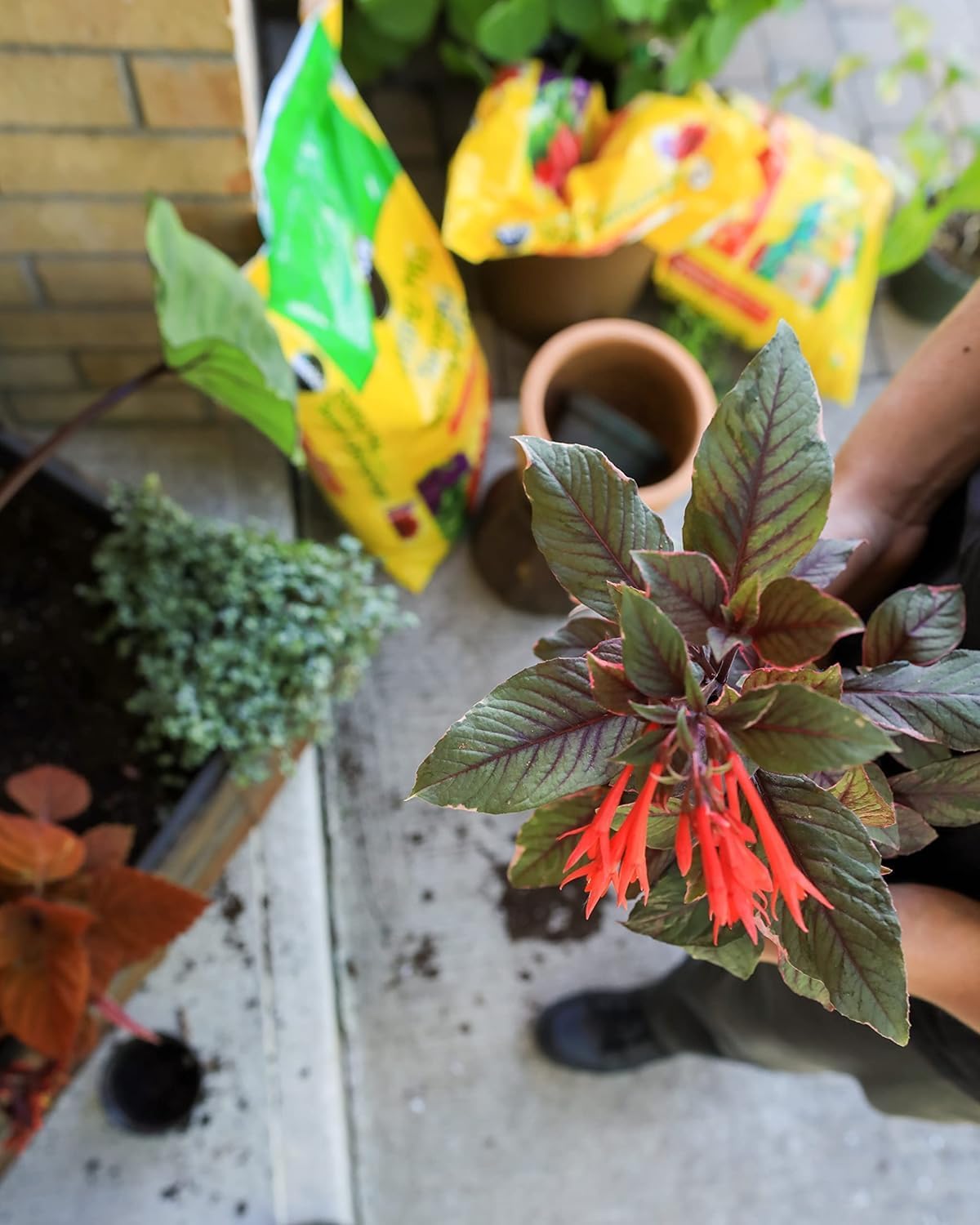 Miracle-Gro All Purpose Potting Soil Mix
