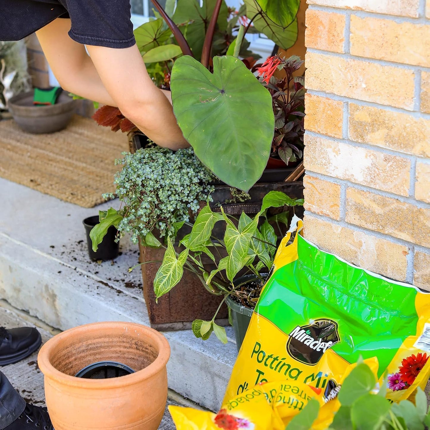 Miracle-Gro All Purpose Potting Soil Mix