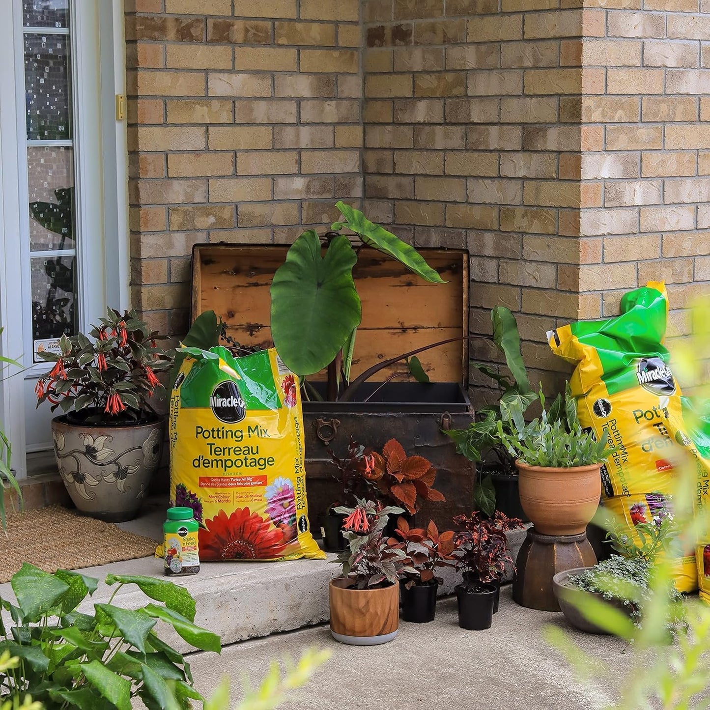 Miracle-Gro All Purpose Potting Soil Mix