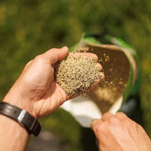 PRO-MIX Greenest & Thickest Grass Seed, 5-in-1 Lawn Mix, Fast Germination in 7 Days, 1.3 kg – Covers up to 180 m² for Lush, Dense Lawn Growth