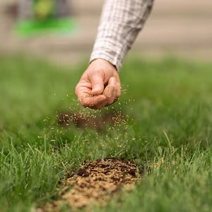 PRO-MIX Greenest & Thickest Grass Seed, 5-in-1 Lawn Mix, Fast Germination in 7 Days, 1.3 kg – Covers up to 180 m² for Lush, Dense Lawn Growth