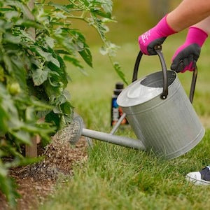 PRO-MIX Tomato & Vegetable Fertilizer 3-6-12, Liquid Plant Food for Higher Yield, 1.25 kg