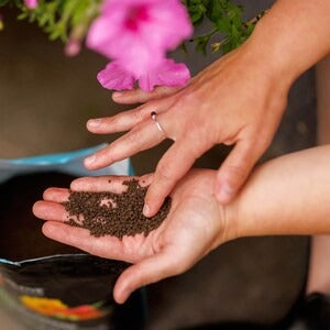PRO-MIX Organic Multi-Purpose Garden Fertilizer 7-3-3, Granular Plant Food for Vegetables, Fruits & Flowers, 1.5 kg – OMRI Certified Organic Growth Formula
