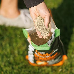 PRO-MIX Strong & Resilient Grass Seed, 5-in-1 Lawn Mix, Fast Germination in 7 Days, 1.3 kg – Covers up to 180 m² for Durable, Healthy Lawn Growth
