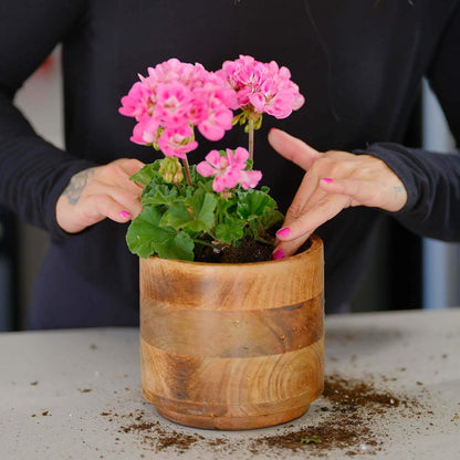 PRO-MIX Potting Mix, Bigger Plants & More Blooms, 9 L