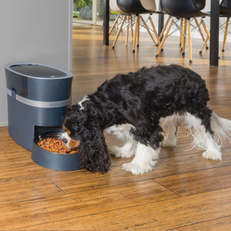 Distributeur automatique de nourriture pour chiens et chats PetSafe Smart Feed 