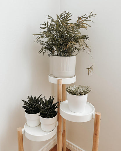 IKEA SATSUMAS Plant stand, bamboo/white, 78 cm (30 ¾ ")