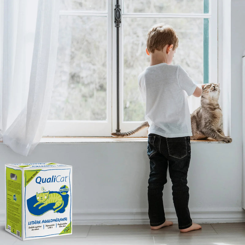 QualiCat Scoopable Cat Litter, 22.7 kg (50 lb)