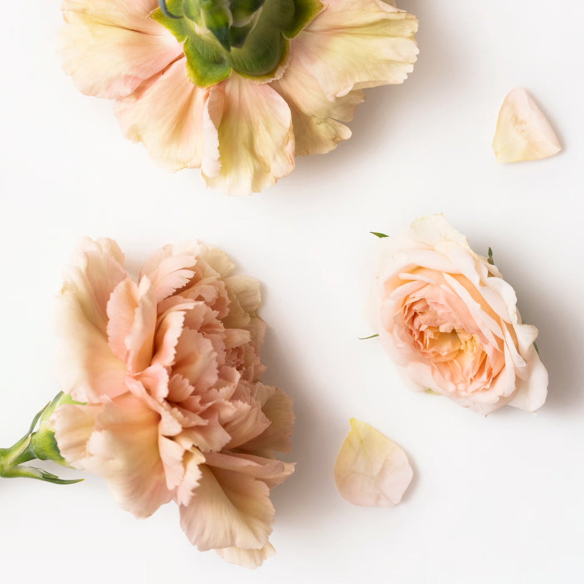 IKEA RÄFFELBJÖRK Scented cndl in glass w lid/2 wicks, Rose & carnation mother-of-pearl color, 50 hr