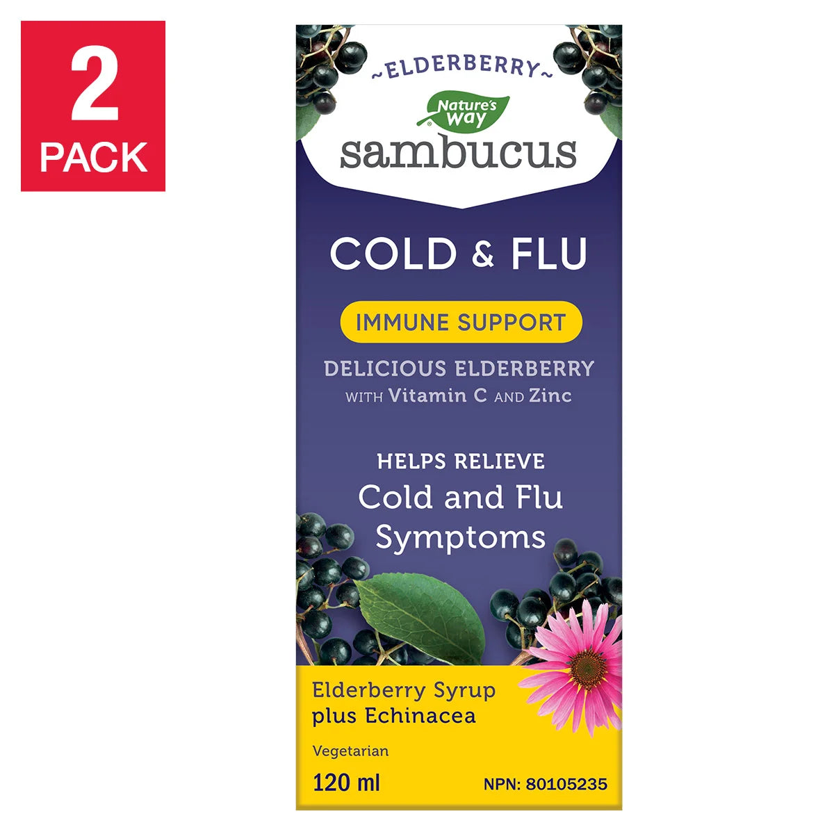Sambucus Elderberry Cold and Flu Syrup, 2 Bottles of 120 mL