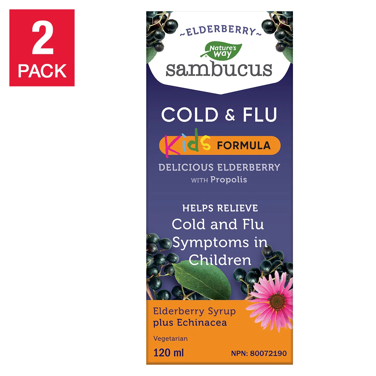 Sambucus Kids Elderberry Cold and Flu Syrup with Propolis, 2 Bottles of 120 mL