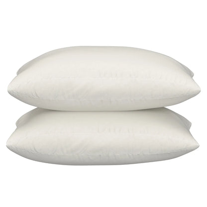 Sealy 2-Pack Organic Pillows
