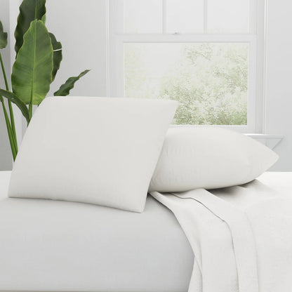 Sealy 2-Pack Organic Pillows