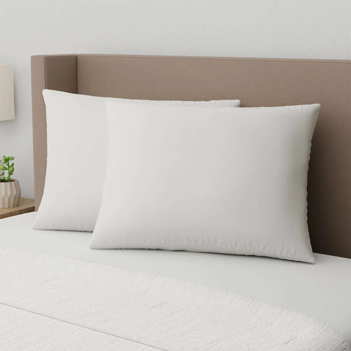 Sealy 2-Pack Organic Pillows