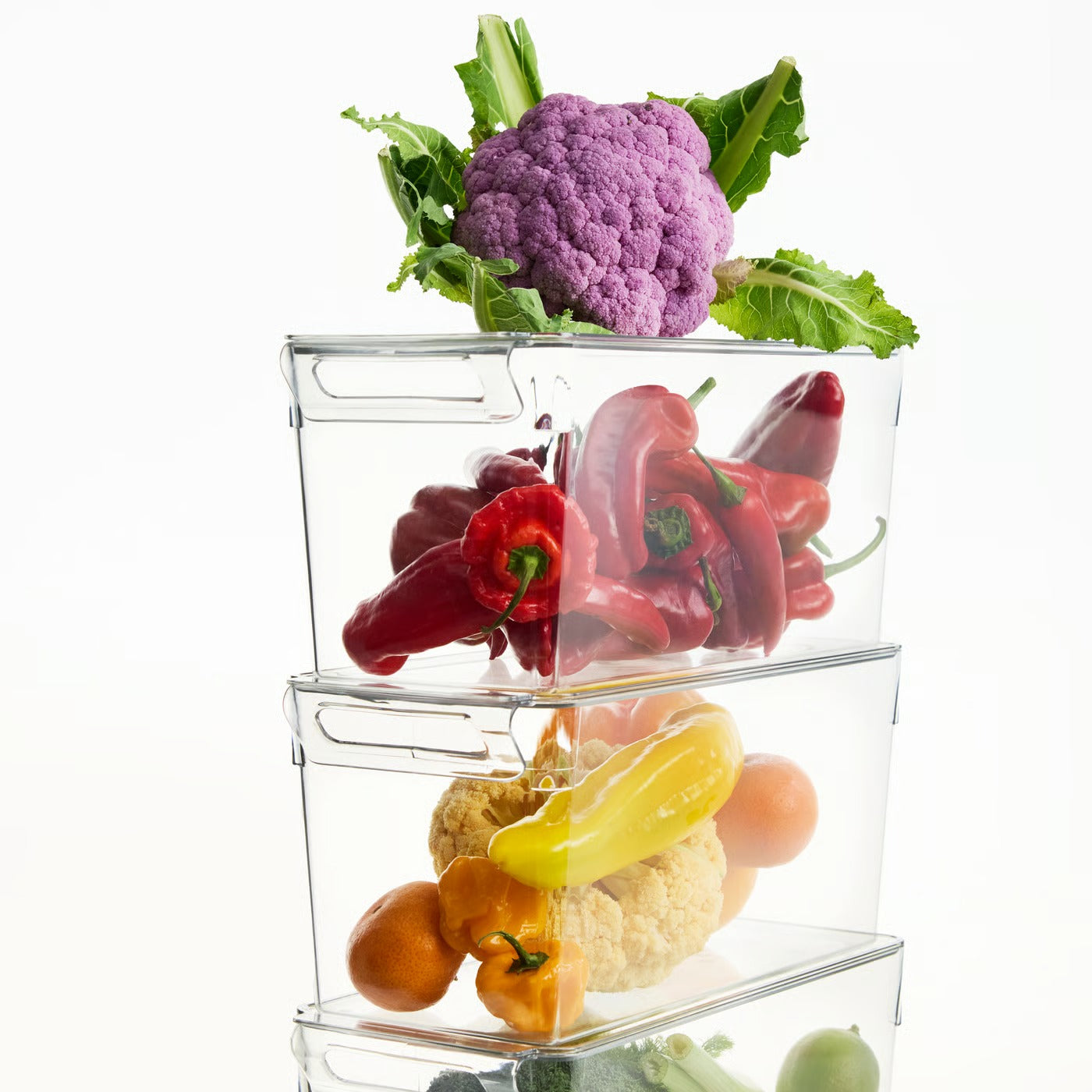 (6 Piece) IKEA KLIPPKAKTUS Storage box for fridge set of 6, transparent
