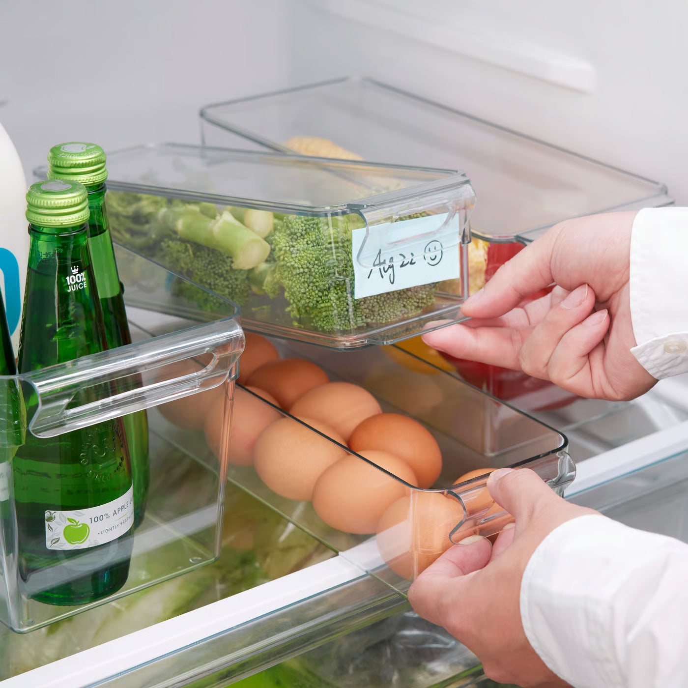 (6 Piece) IKEA KLIPPKAKTUS Storage box for fridge set of 6, transparent