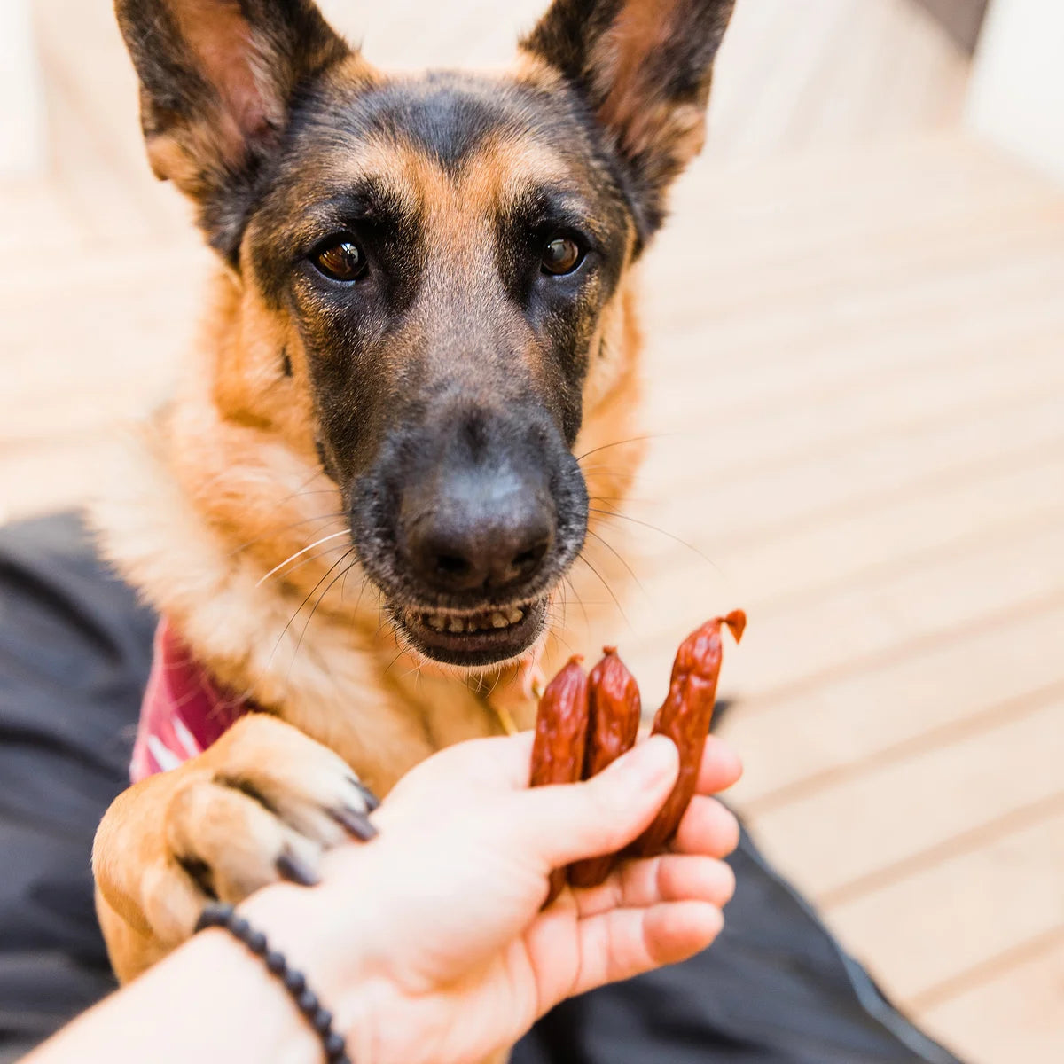 The Butcher’s Companion – Sausage Bites Dog Treats 10 x 250g – Pork Recipe