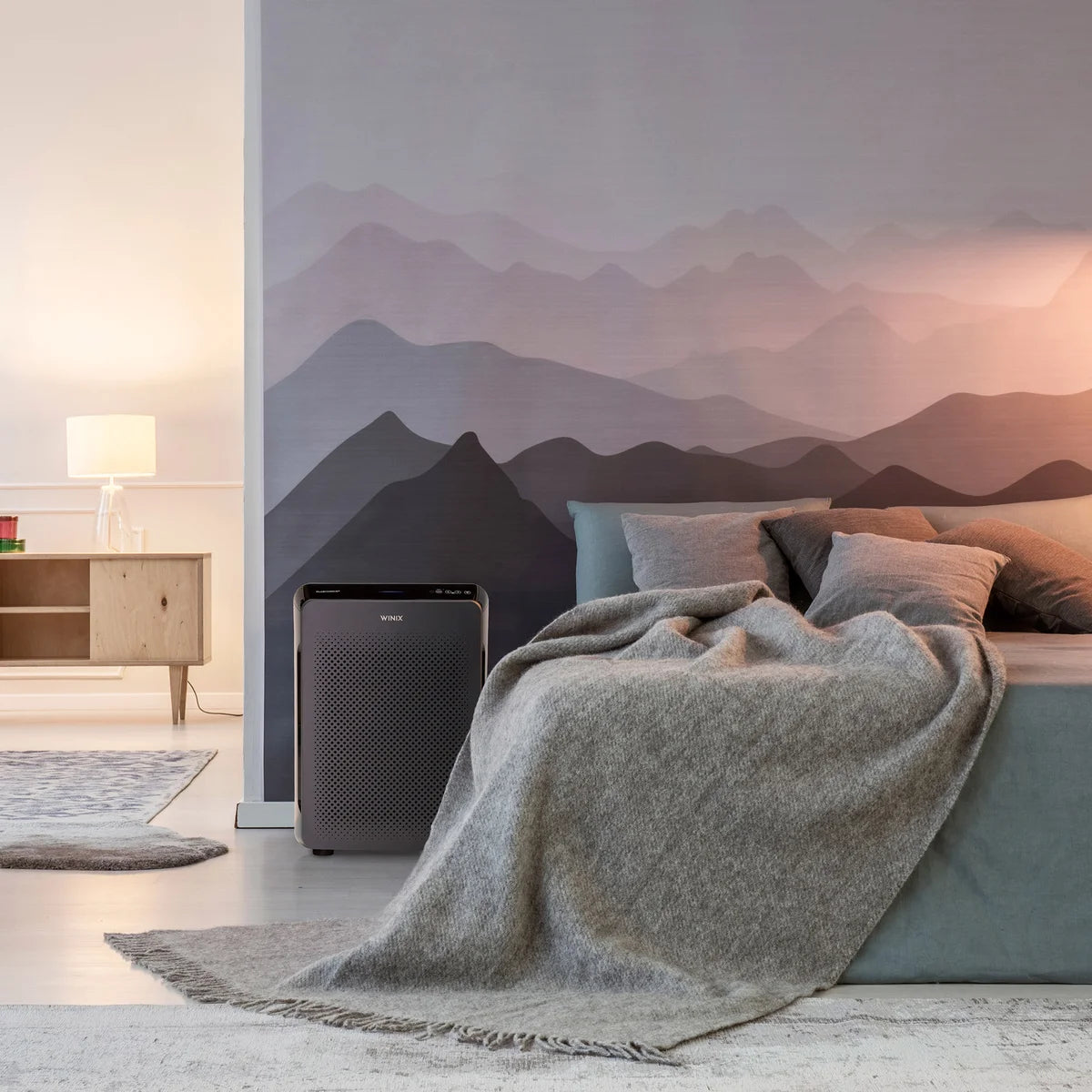 Winix C909 4-Stage Air Purifier with WIFI and PlasmaWave Technology