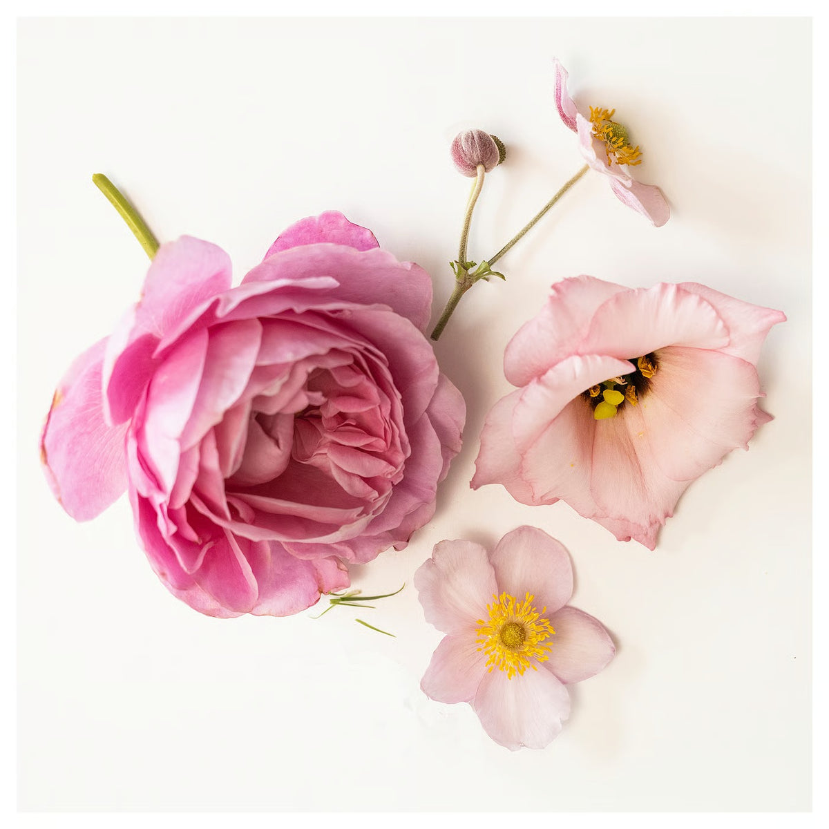 IKEA LOTSFÅGEL Pink Flowers Scented Tealight Candles, 30 Pack, Pale Pink Floral Fragrance Candles in Metal Cups, 3.5-Hour Burn Time Each, Decorative Candles for Bedroom, Living Room, Parties & Home Décor