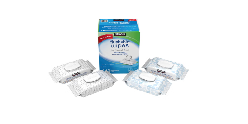 Kirkland Signature Flushable Wipes, 640 Wipes, 10 Packs × 64