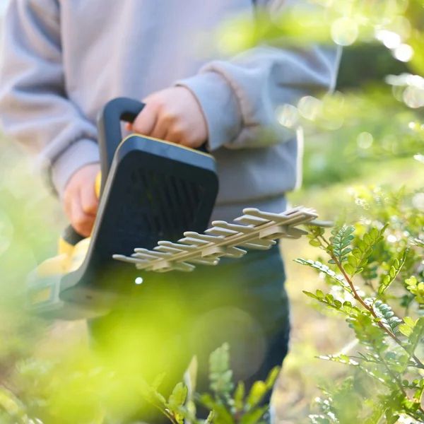 Stanley Jr. Garden Tool Set