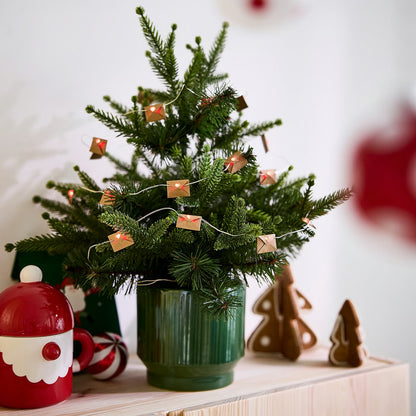 IKEA VINTERFINT Artificial Potted Christmas Tree, 55 cm (21¾ Inch), Green Mini Faux Evergreen Plant with 12 cm Pot, Indoor Outdoor Holiday Decoration for Living Room, Entryway & Christmas Décor