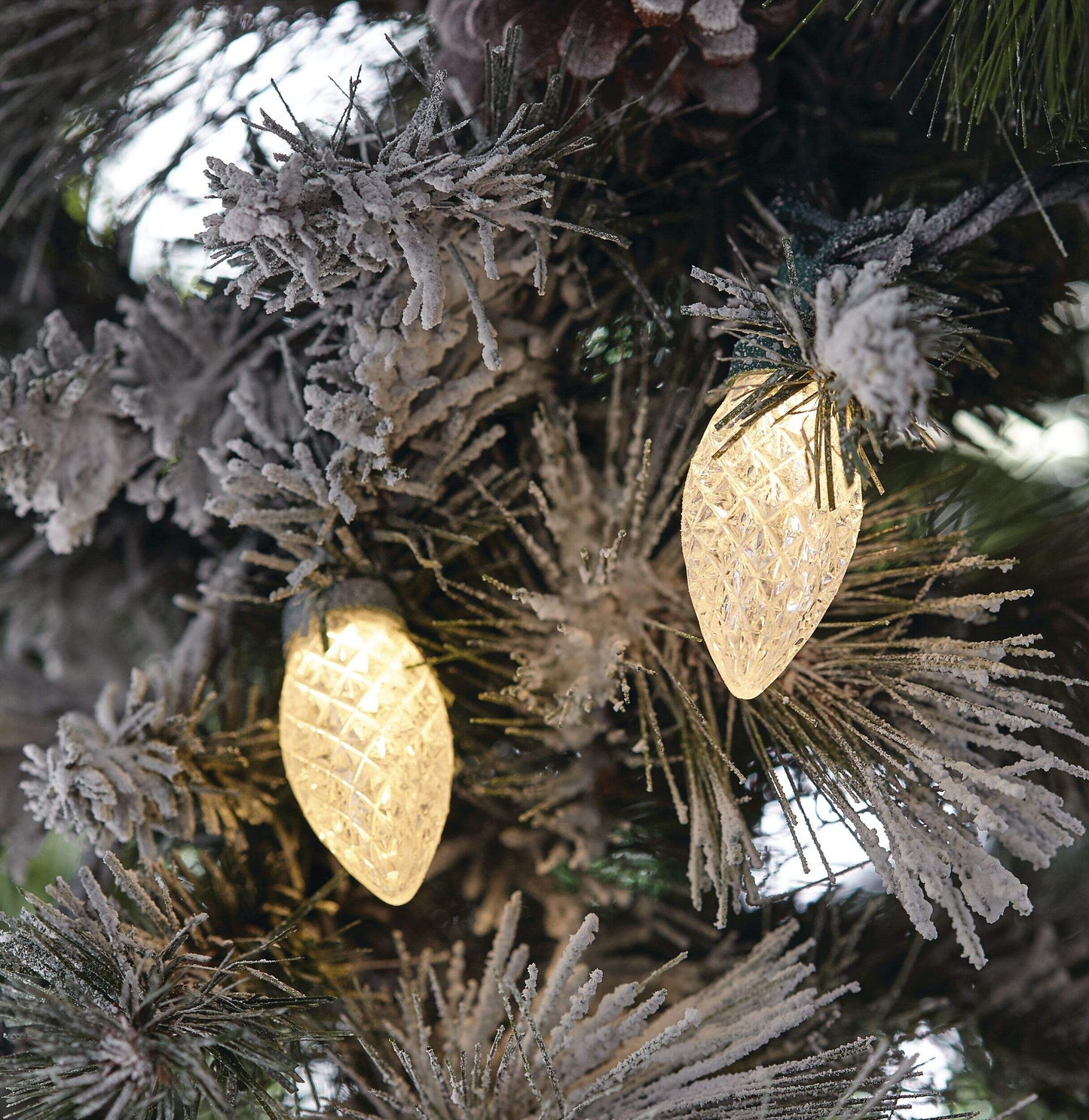 NOMA C9 LED Outdoor, Warm White, 50‑pc, 10.2 m